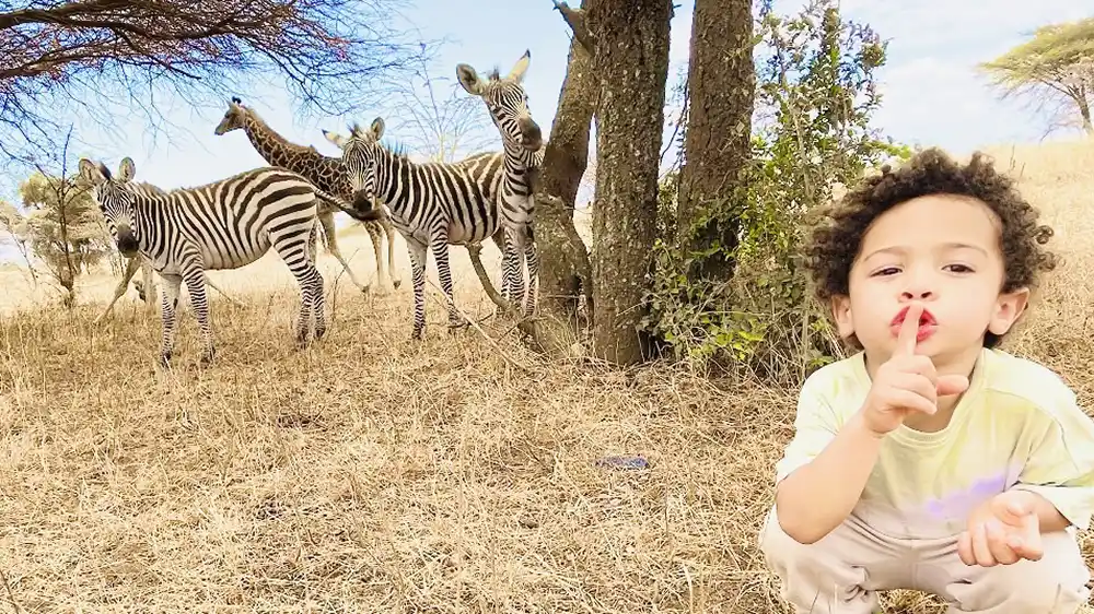 Walking Safari