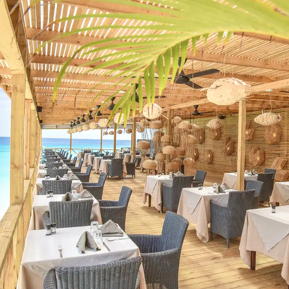 Comfort Collection Luna Safari Africa Sea Side Restaurant